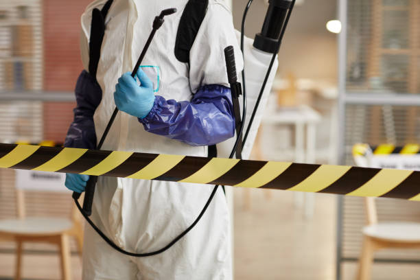 Professional Sewage Cleanup technician working in Crescent City, FL